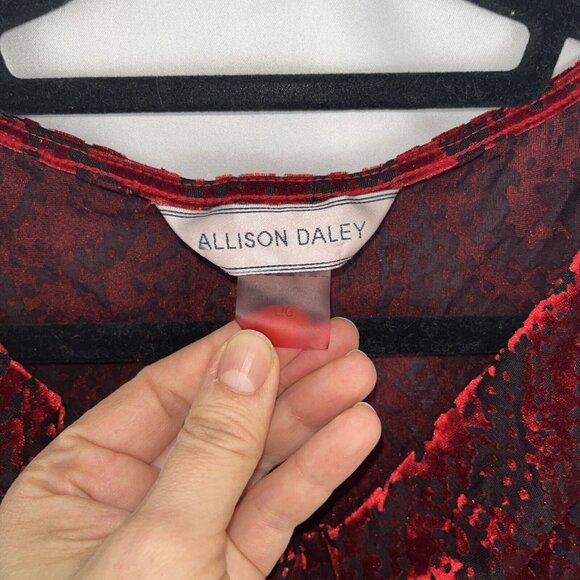Alison Daley Red Velvet and Black Mesh Fairygoth Holiday Blouse Womens Size L - Picture 4 of 8
